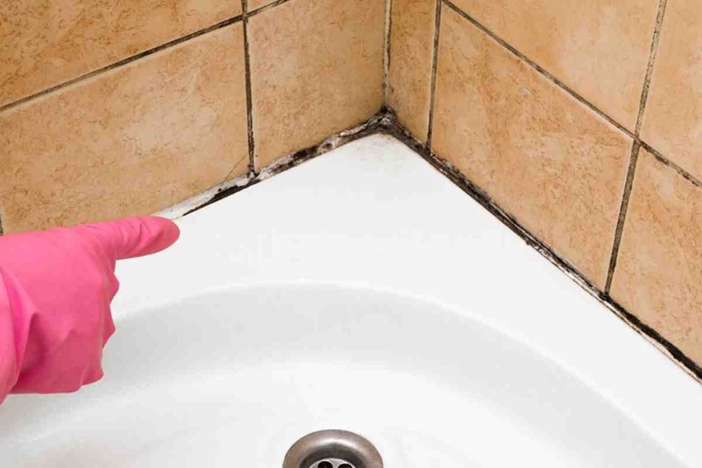 zwarte vlekken op siliconen in de badkamer