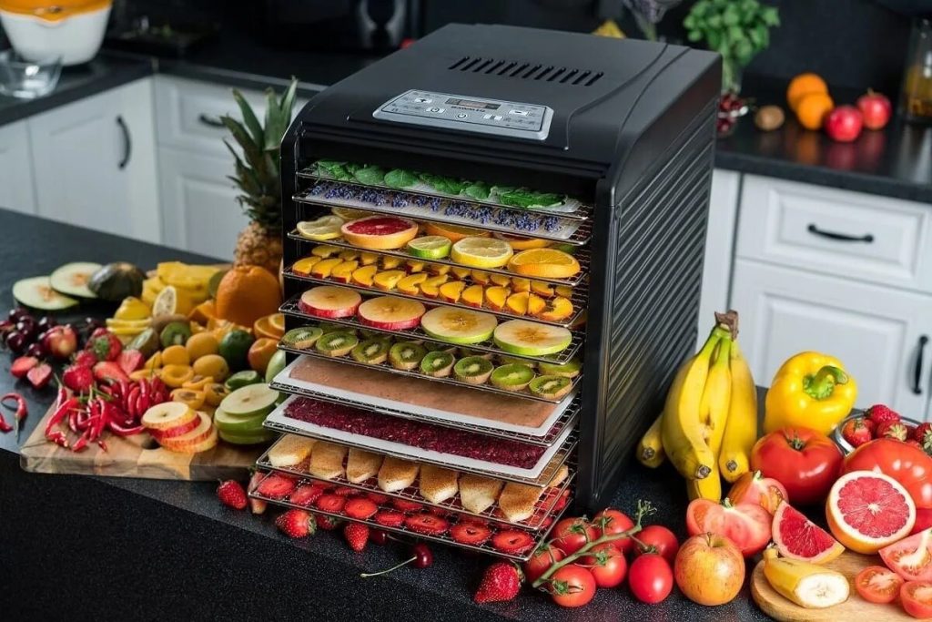 droger voor het bereiden van gevriesdroogd fruit